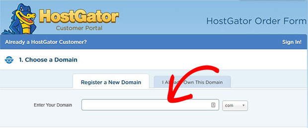 Enter Your Domain