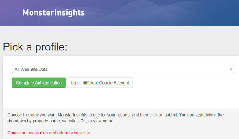 authenticate monsterinsights