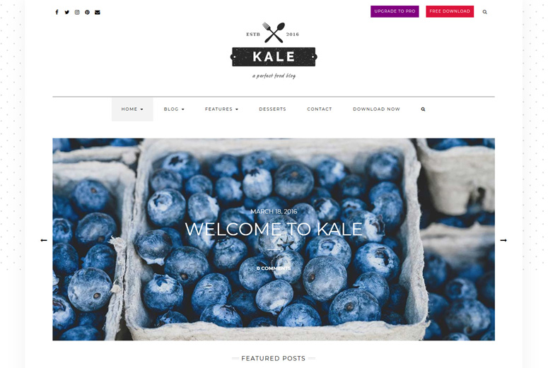 kale-wordpress-theme